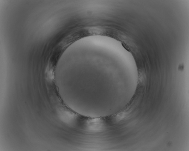 X0000091960431200709271350