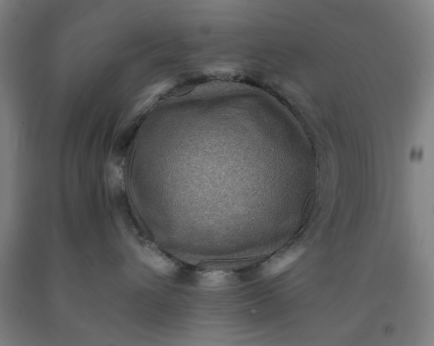 X0000091960432200709271350