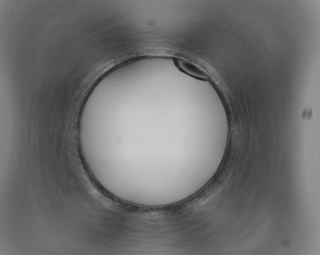 X0000091960433200709271349