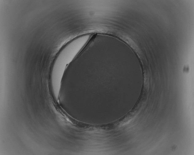 X0000091960434200709271349