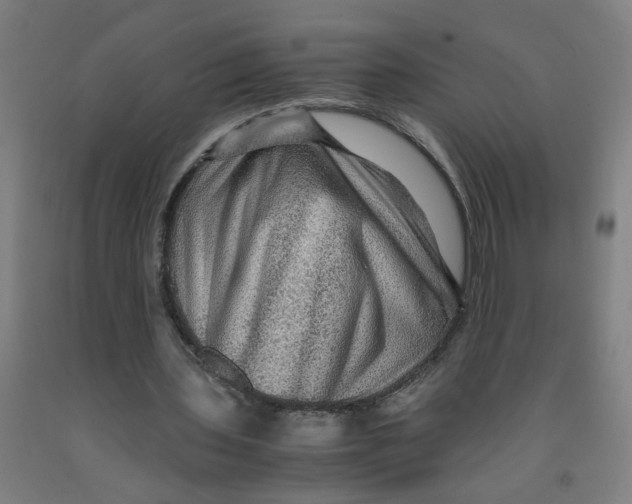 X0000091960435200709271349