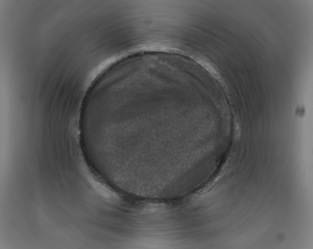 X0000091960438200709271349