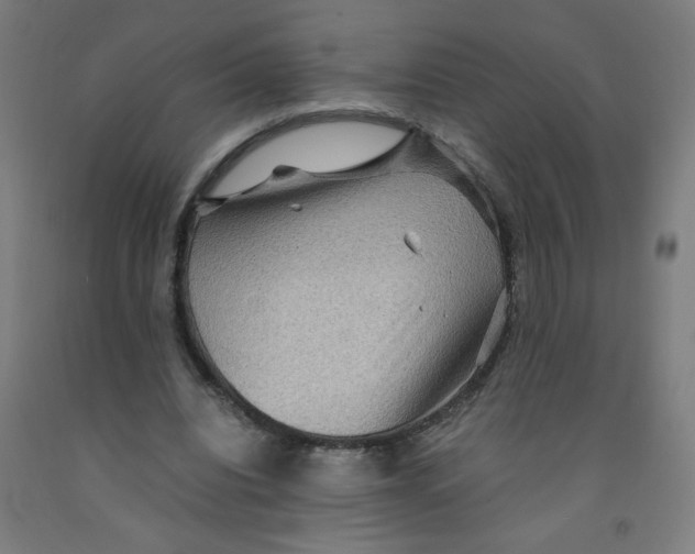 X0000091960440200709271349