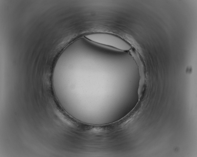 X0000091960441200709271349