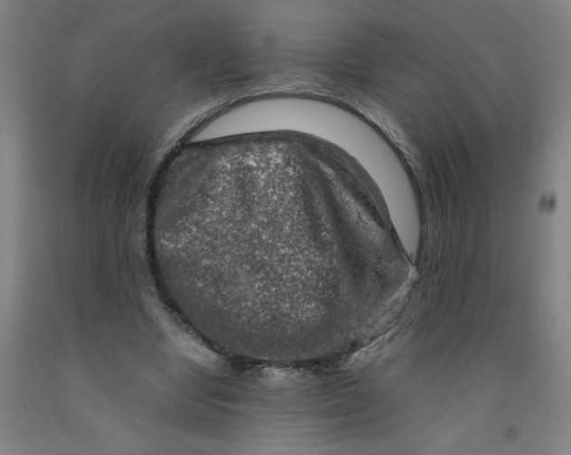 X0000091960442200709271350