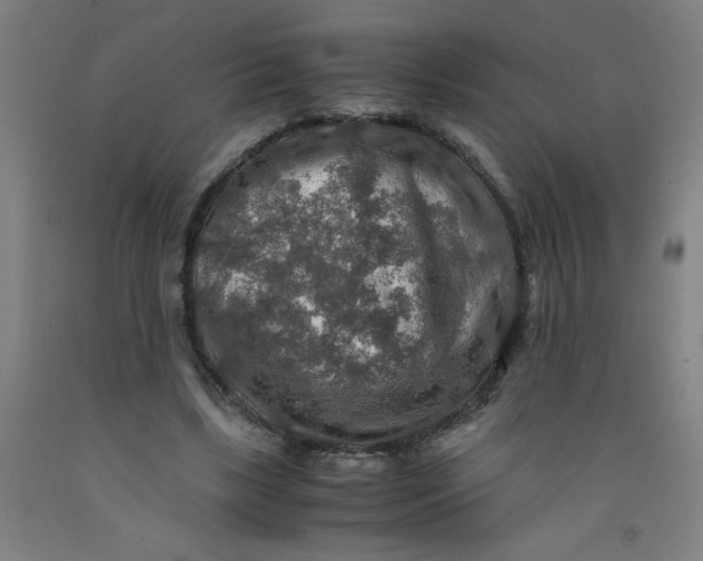 X0000091960443200709271350