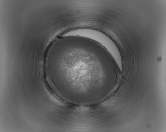 X0000091960444200709271350