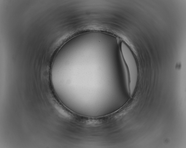 X0000091960445200709271350