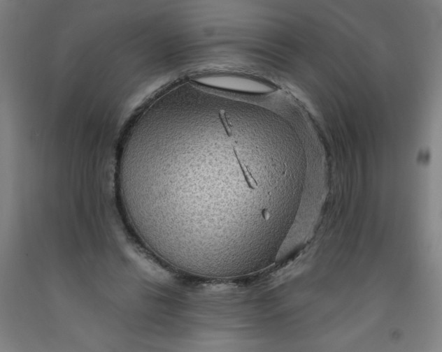 X0000091960446200709271350