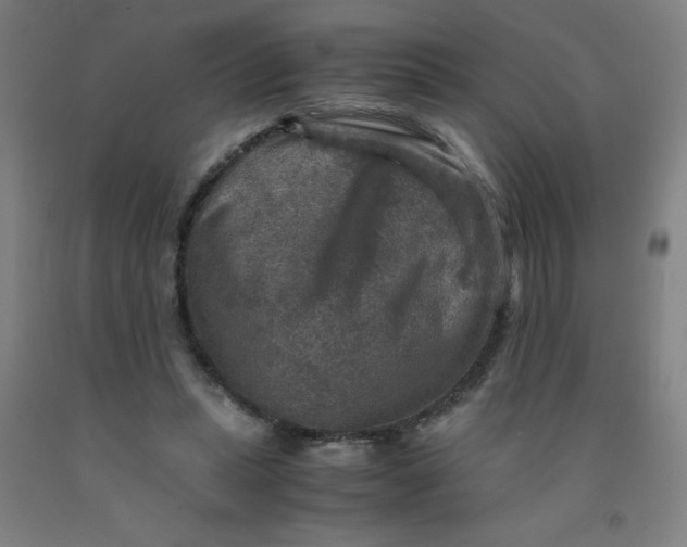 X0000091960447200709271350