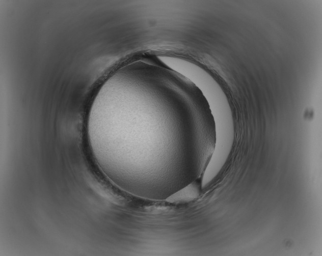 X0000091960448200709271350