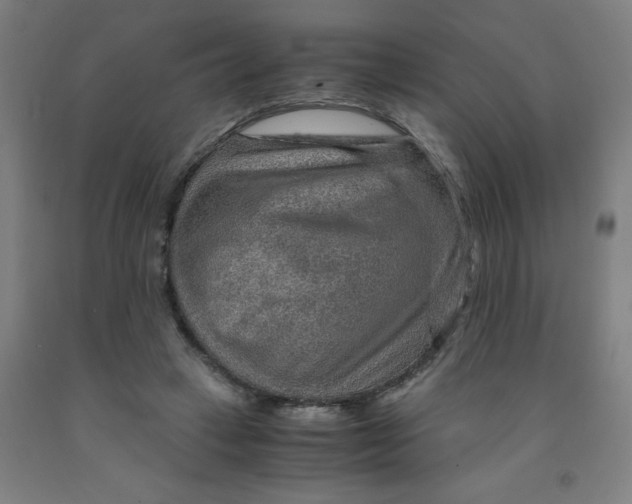 X0000091960449200709271350