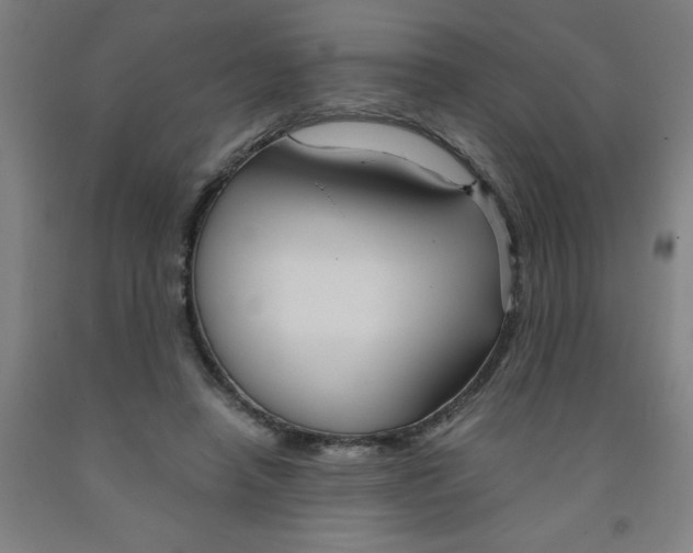 X0000091960450200709271350