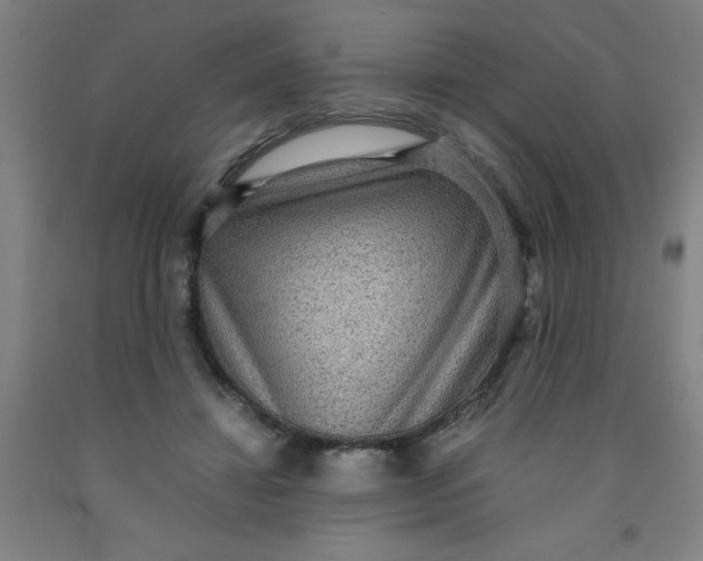 X0000091960452200709271350