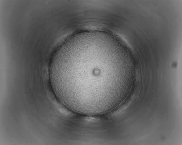 X0000091960453200709271350