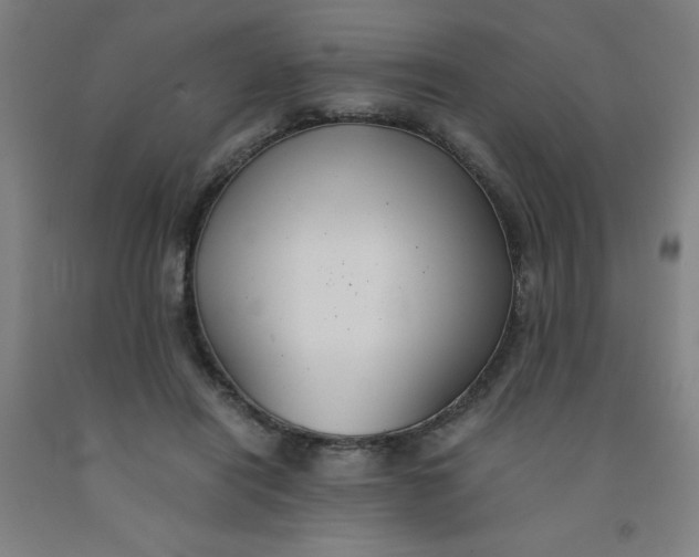 X0000091960454200709271350