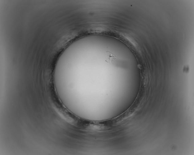 X0000091960455200709271350