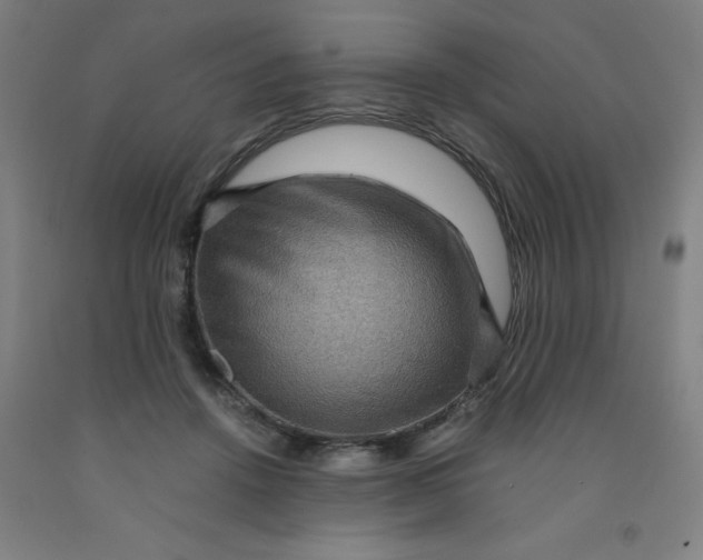 X0000091960456200709271350