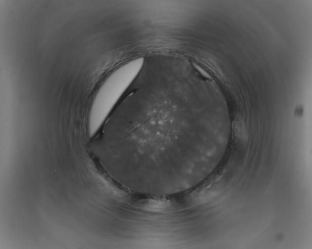 X0000091960458200709271350