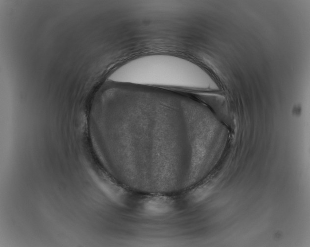 X0000091960459200709271350