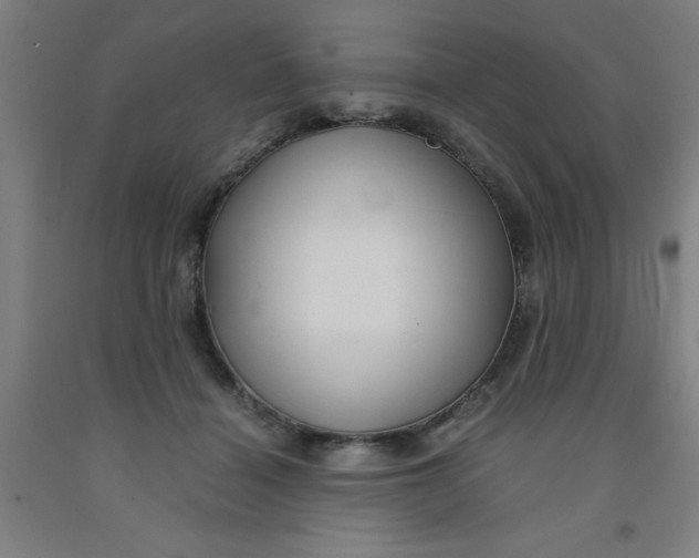 X0000091960460200709271350