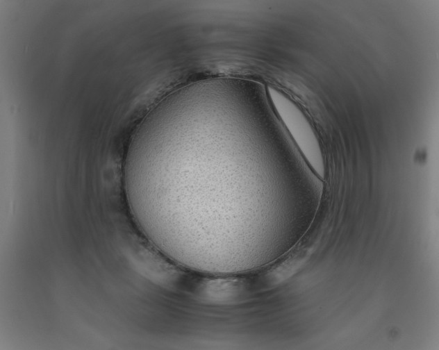 X0000091960461200709271350