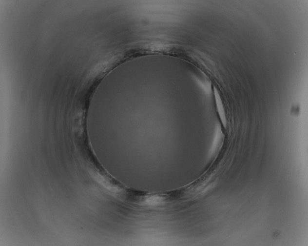 X0000091960462200709271350