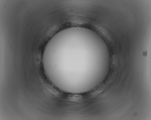 X0000091960463200709271350