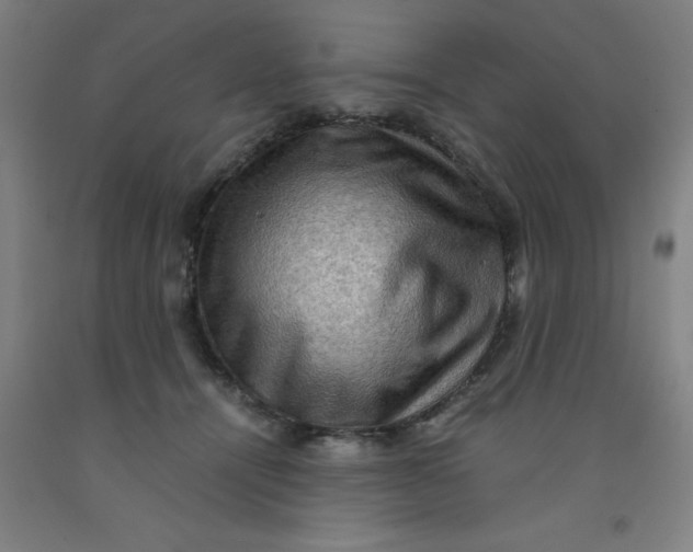 X0000091960464200709271350