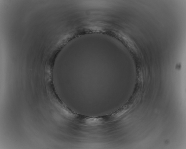 X0000091960465200709271350