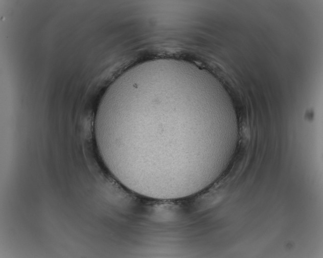 X0000091960468200709271350