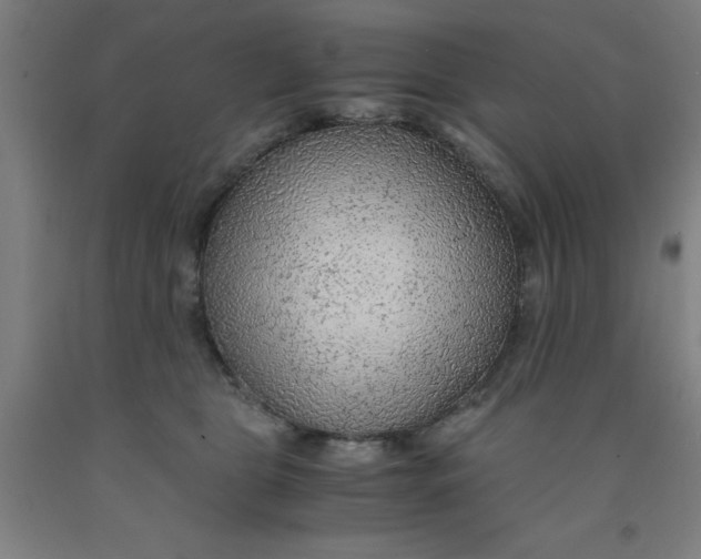 X0000091960469200709271350