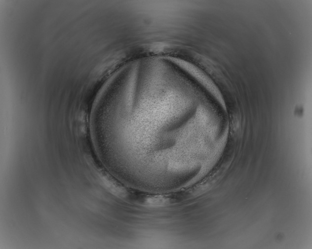 X0000091960470200709271350