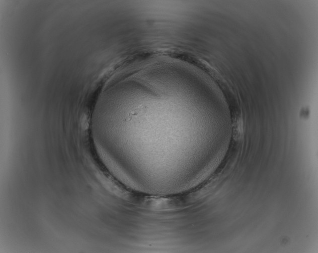 X0000091960472200709271350