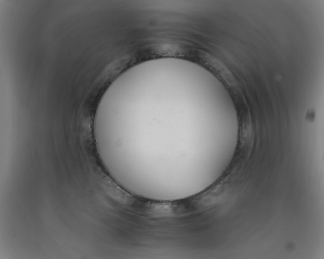 X0000091960473200709271350