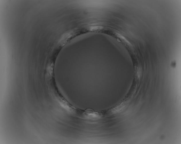 X0000091960475200709271350