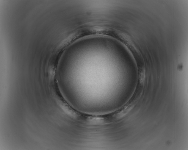 X0000091960476200709271350