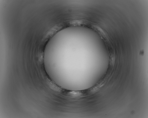 X0000091960477200709271350