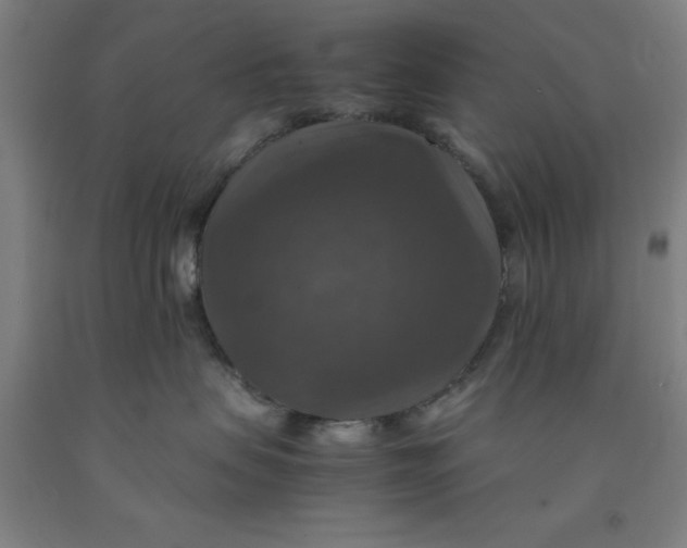 X0000091960479200709271350