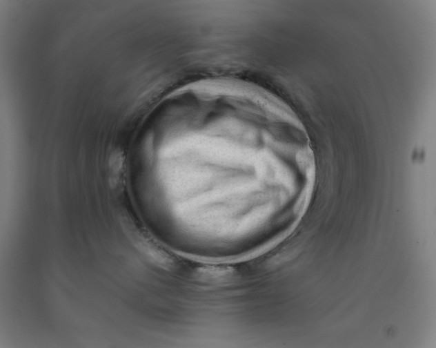 X0000091960480200709271350