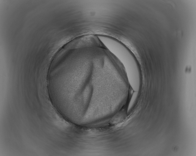 X0000091960481200709271349