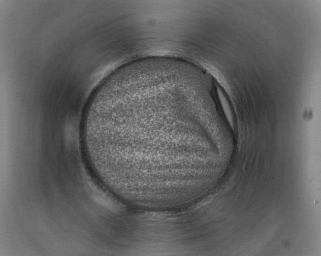 X0000091960482200709271349