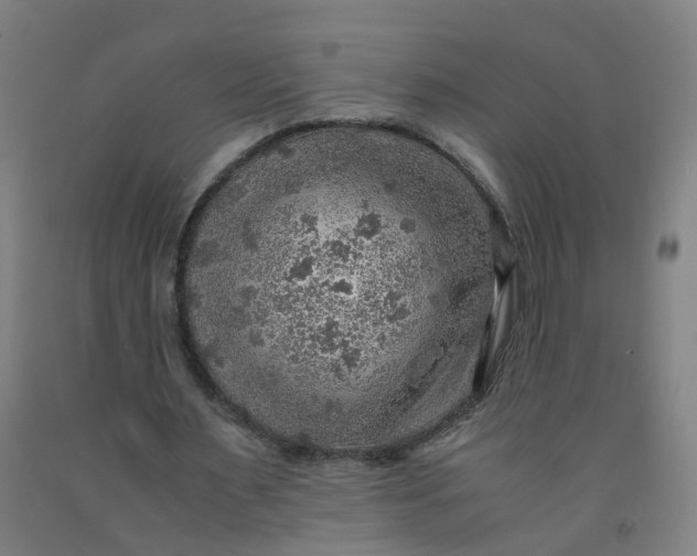 X0000091960483200709271349