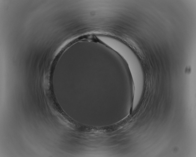 X0000091960484200709271349