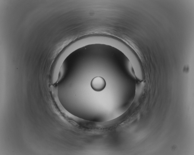 X0000091960485200709271349