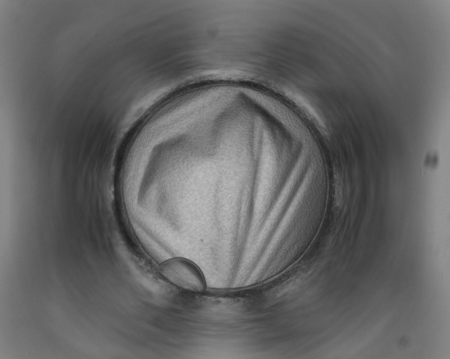 X0000091960486200709271349