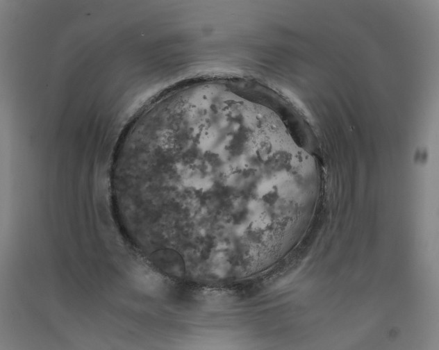 X0000091960487200709271349