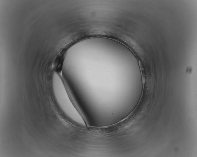 X0000091960489200709271349