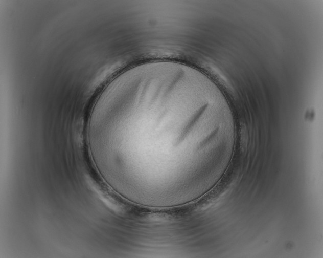 X0000091960490200709271349