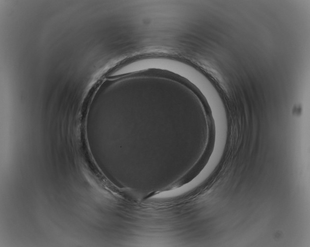 X0000091960492200709271349